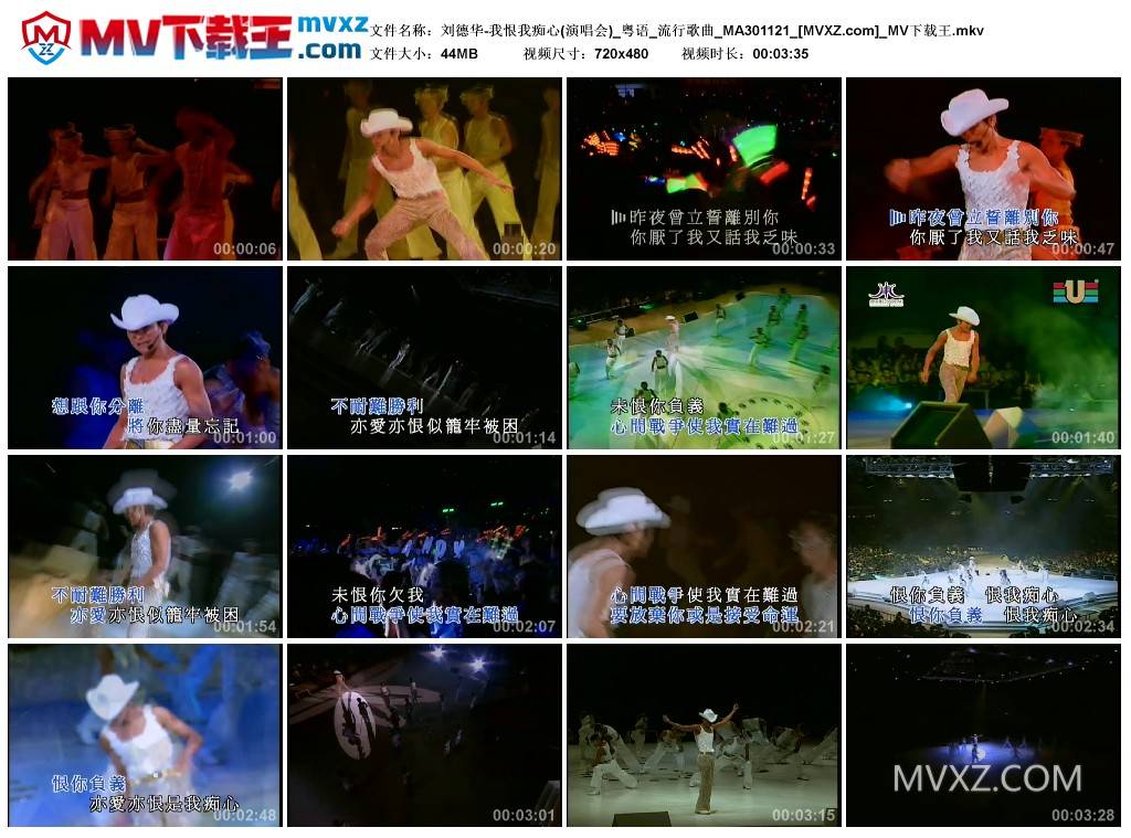 刘德华-我恨我痴心(演唱会)_粤语_流行歌曲_MA301121